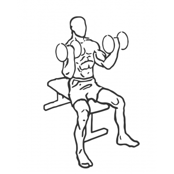 Seated Dumbbell Inner-Bicep Curl - Step 1