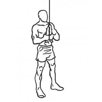 Triceps Pushdown - Rope Attachment - Step 1