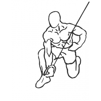 Kneeling Cable Concentration Triceps Extension - Step 2
