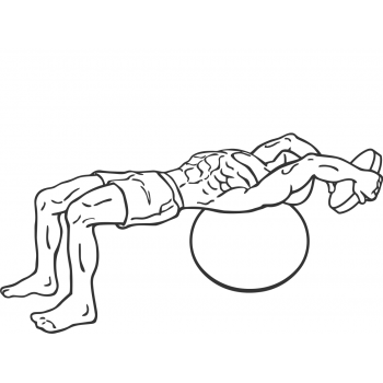 Pullover On Stability Ball With Weight - Step 2