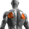 Middle Back Exercises