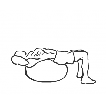 Exercise Ball Crunch - Step 1