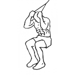 Cable Seated Crunch - Step 1