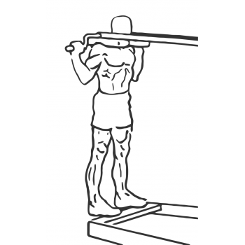 Standing Calf Raises - Step 1