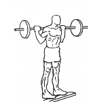 Standing Barbell Calf Raise - Step 1