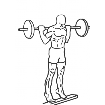 Standing Barbell Calf Raise - Step 2