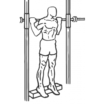 Smith Machine Reverse Calf Raises - Step 1