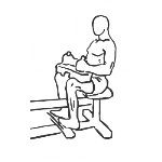 Seated Calf Raise - Step 1