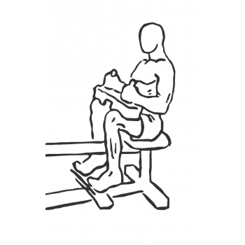 Seated Calf Raise - Step 2