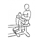 Seated Calf Raise - Step 2