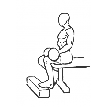 Dumbbell Seated One-Leg Calf Raise - Step 1