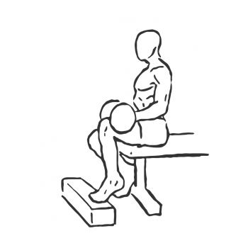 Dumbbell Seated One-Leg Calf Raise - Step 2