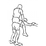 Donkey Calf Raises - Step 1