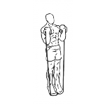 Calf Raises - With Bands - Step 2