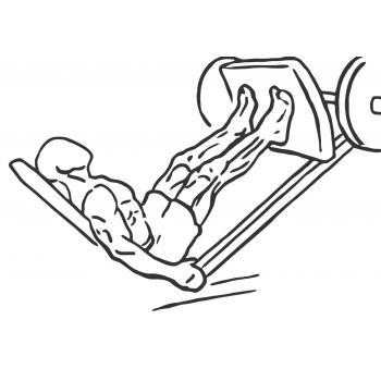 Calf Press On The Leg Press Machine - Step 2