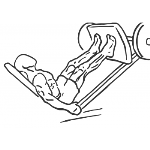 Calf Press On The Leg Press Machine - Step 2