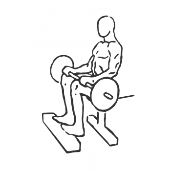 Barbell Seated Calf Raise - Step 1