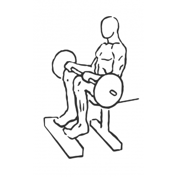 Barbell Seated Calf Raise - Step 2