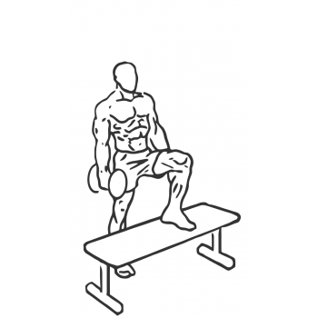 Step Up Single Leg Balance with Bicep Curl - Step 2