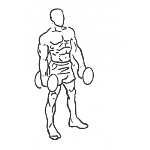 Forward Lunge with Bicep Curl - Step 1