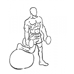 Bicep Curl on Stability Ball with Leg Raised - Step 1