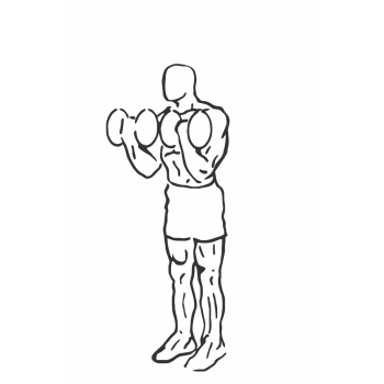 Bicep Curl Squat - Step 2