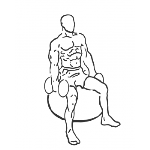 Bicep Curls Seated on Stability Ball - Step 1
