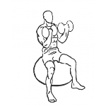 Bicep Curls Seated on Stability Ball - Step 2