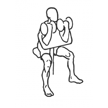 Two Arm Dumbbell Preacher Curl - Step 2