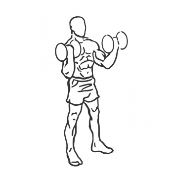 Standing Inner-Biceps Curl - Step 2