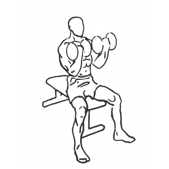 Seated Dumbbell Curl - Step 2