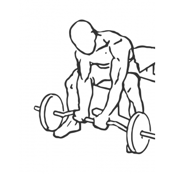 Seated Close-Grip Concentration Barbell Curl - Step 1