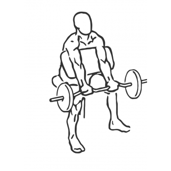 Preacher Curl - Step 1