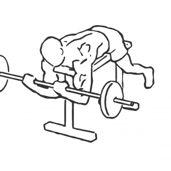 Lying High Bench Barbell Curl - Step 2