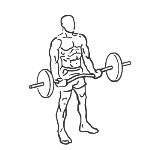 EZ-Bar Curl - Step 1