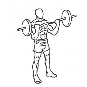 EZ-Bar Curl - Step 2