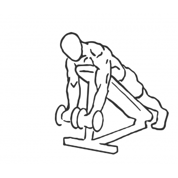 Prone Incline Bicep Curls - Step 1