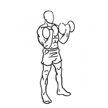 Dumbbell Bicep Curl - Step 2