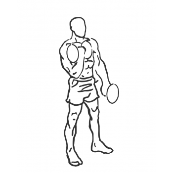 bicep curl drawing