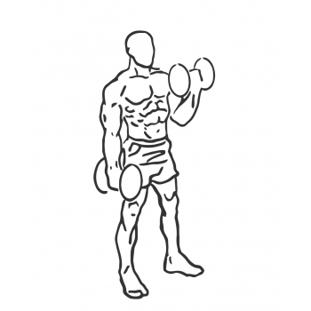 Dumbbell Alternate Bicep Curl - Step 2