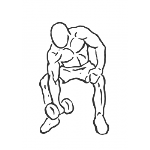 Concentration Curls - Step 1