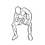 Concentration Curls - Step 2