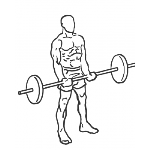 Close-Grip Standing Barbell Curl - Step 1