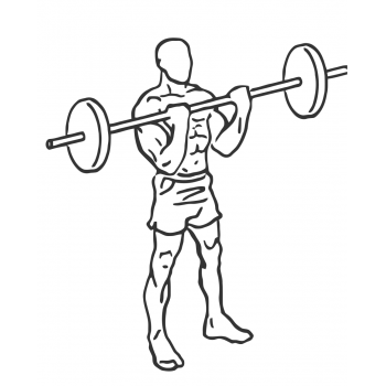 Close-Grip Standing Barbell Curl - Step 2