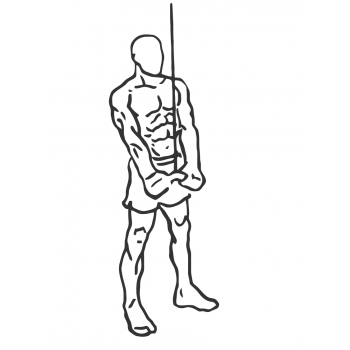Triceps Pushdown - V-Bar Attachment - Step 2