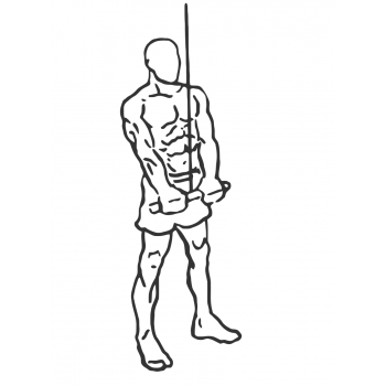 Triceps Pushdown - Step 2