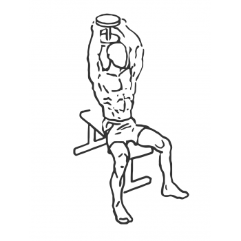 Seated Triceps Press - Step 2