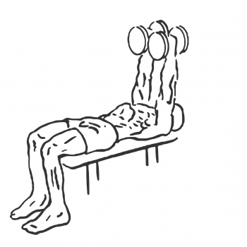 Lying-Supine Two-Arm Dumbbell Triceps Extension - Step 2