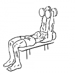 Lying-Supine Two-Arm Dumbbell Triceps Extension - Step 2