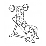 Barbell Incline Triceps Extension - Step 2